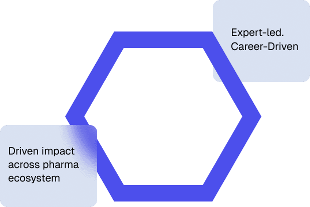 Health Economics Mastery Program - Professional Healthcare Course